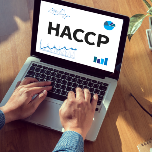 Aggiornamento Manuale HACCP